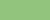 A small rectangle that is filled entirely with a green colour
