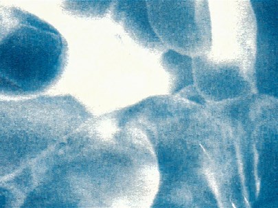 Two hands, cyanotype print. The toning has a monochrome look and the objects are a little blurred