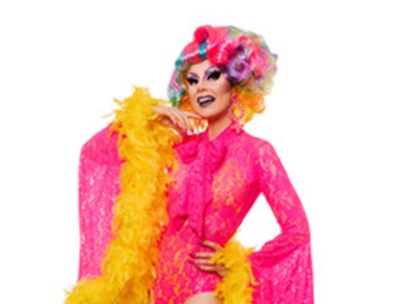 Ruby Slippers dressed in a fabulous pink see-through gown with yellow boa. Coloured ribbon in their hair.