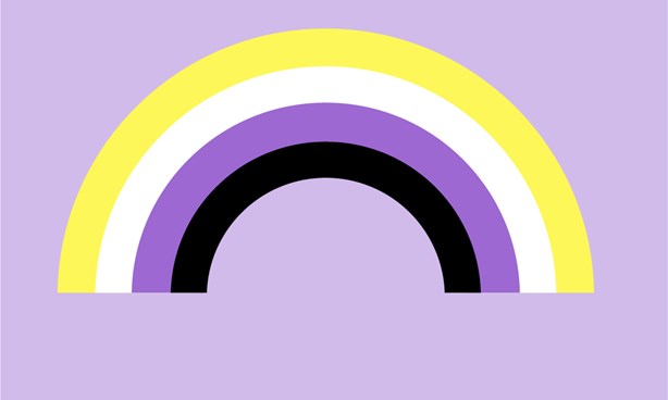 Non Binary Pride Flag against a light mauve background