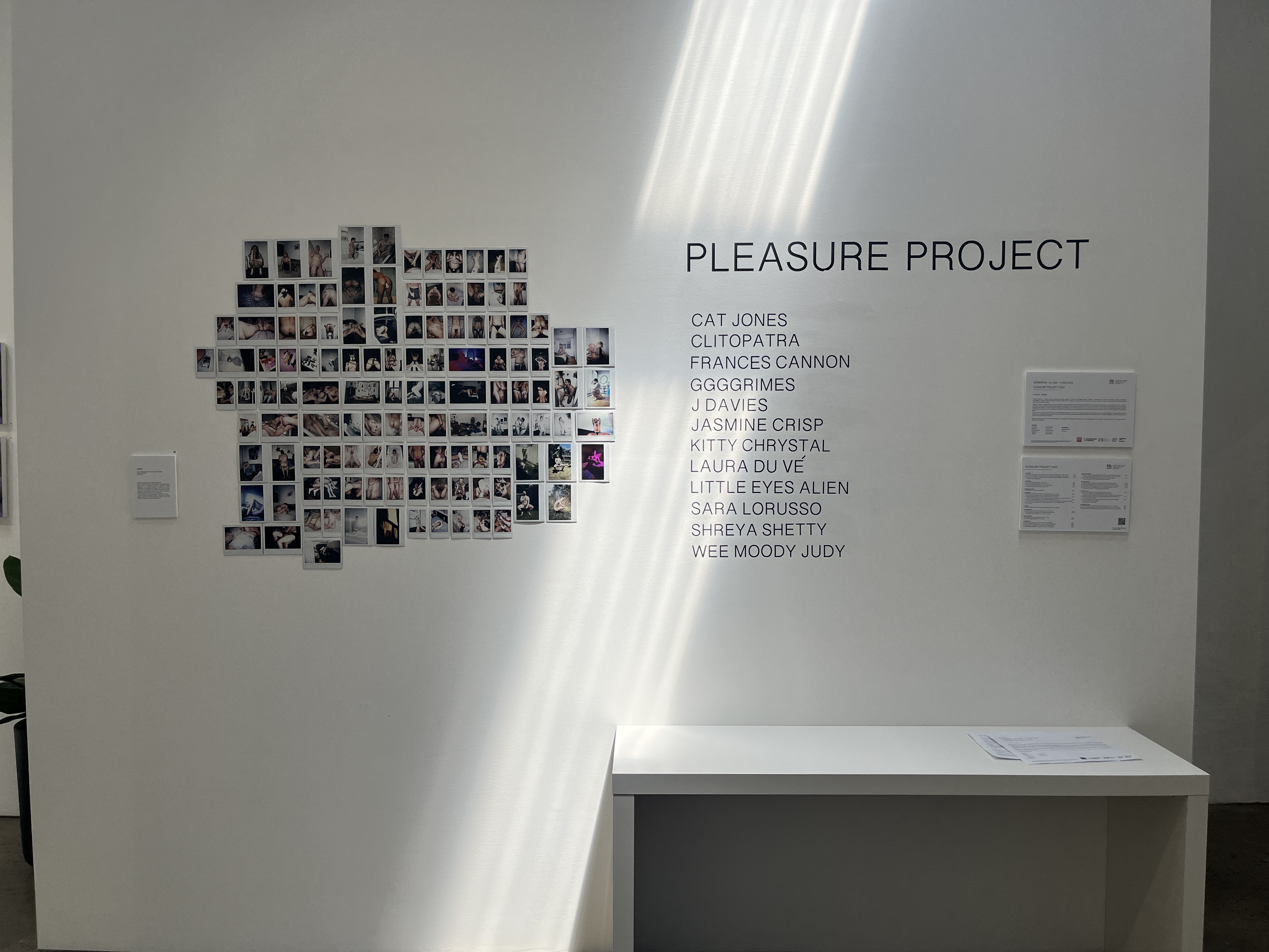 An item in an exhibition displaying the text PLEASURE PROJECT plus lots of small photos and the names of the artists