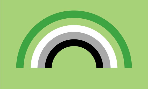 Aromantic Pride Flag against a light green background