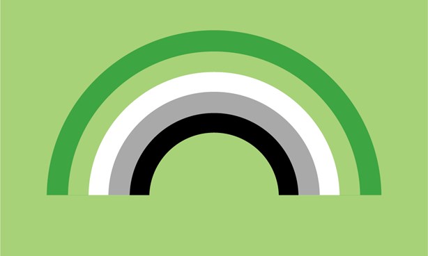 Aromantic Pride Flag against a light green background