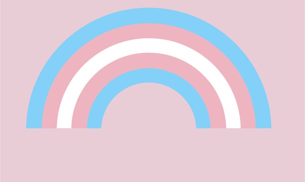 Transgender Pride Flag against a light mauve background