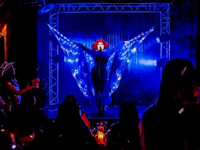 Performer stretching out gossamer wings on a blue lit stage, audience in foreground