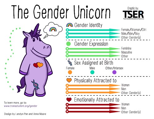 Complex banner headed: 'The Gender Unicorn'