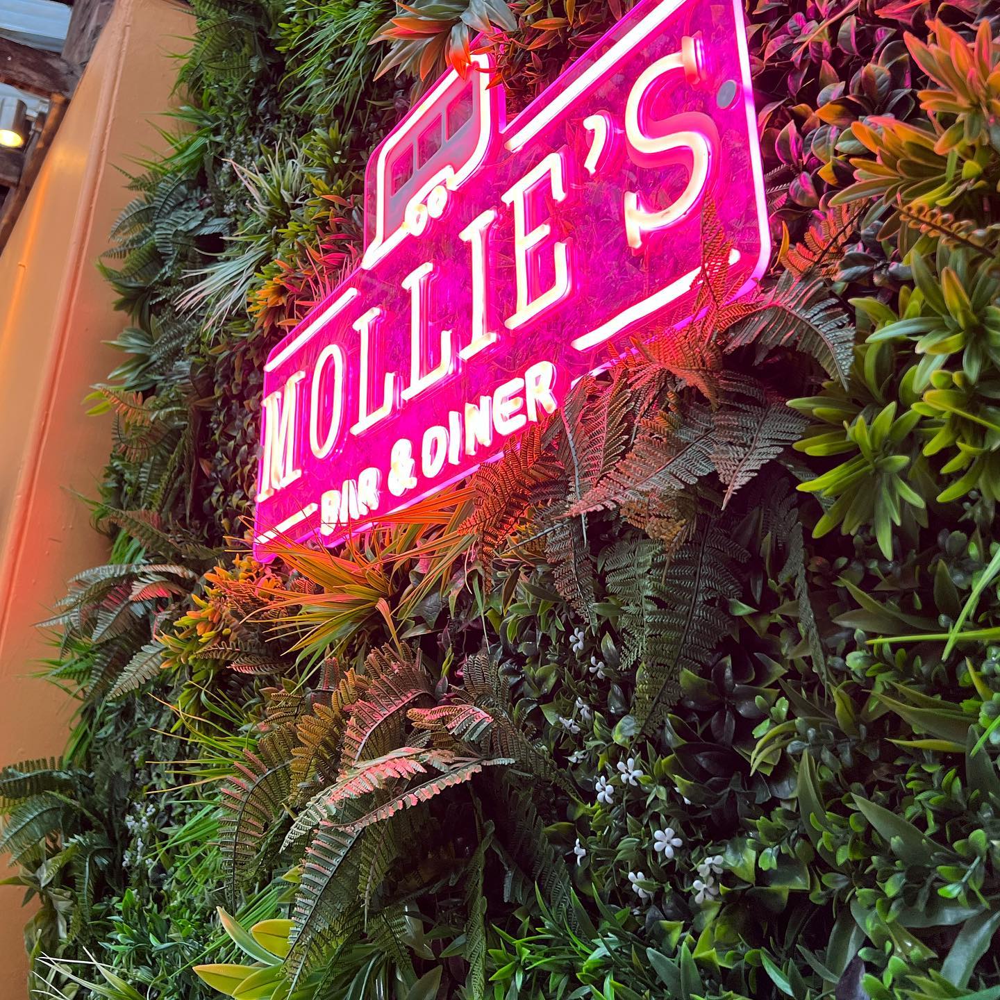 Mollie's Bar & Diner