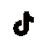 TikTok logo