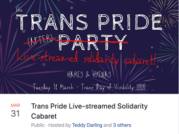 Banner reading: 'Trans Pride (After) Party', with 'after party' replaced by 'Live-streamed Solidarity Cabaret'