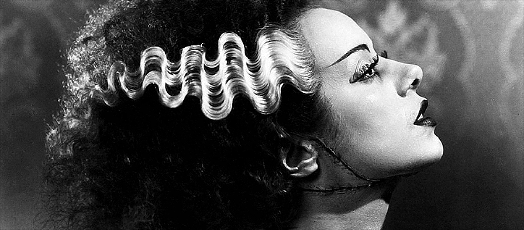 The Bride of Frankenstein classic profile image of the black wig with the wavy white stripe down the centre.