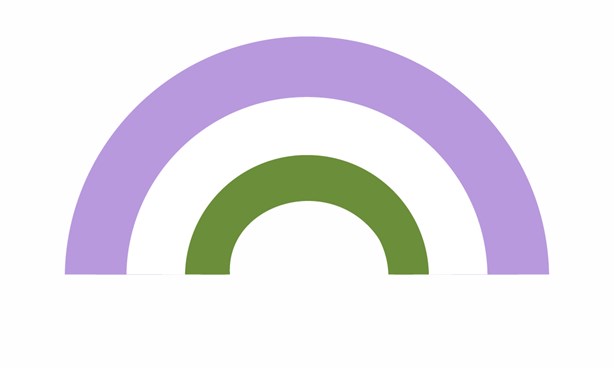 Genderqueer Pride Flag against a white background