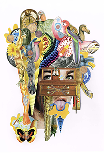 Selected works from the 'Wunderkammer' series by Marc Savoia