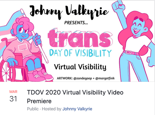 Banner reading: Johnny Valkyrie presents trans DAY OF VISIBILITY