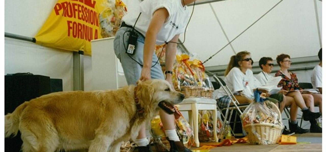 Midsumma Carnival 1996 by Richard Israel and 1997 by Virginia Selleck: a dog being held by somebody with a radio; probably about to go to the front of the stage
