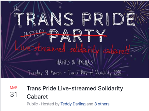 'TRANS PRIDE (AFTER) PARTY', but with '(AFTER) PARTY' replaced by 'Live-streamed solidarity cabaret!'