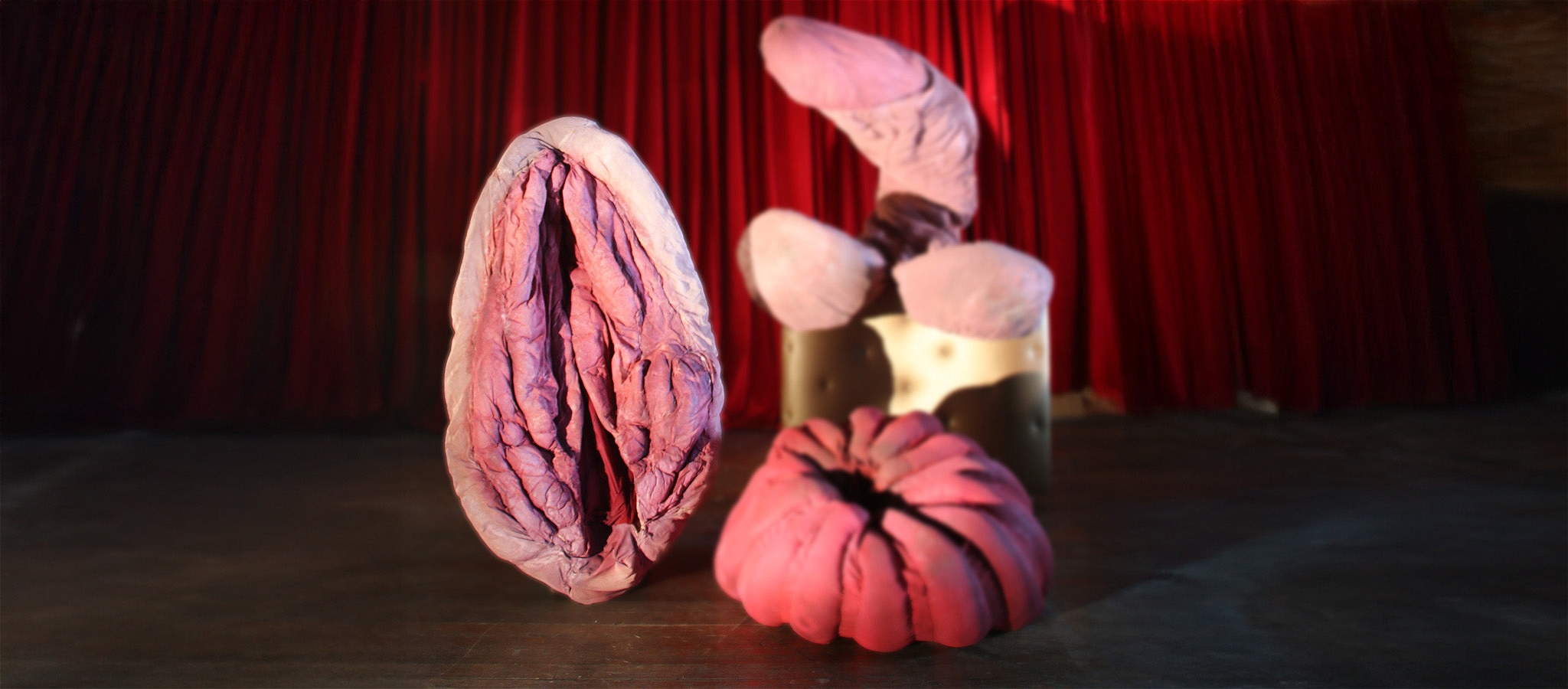 Photos of human sized Virginia puppet with anus and penis