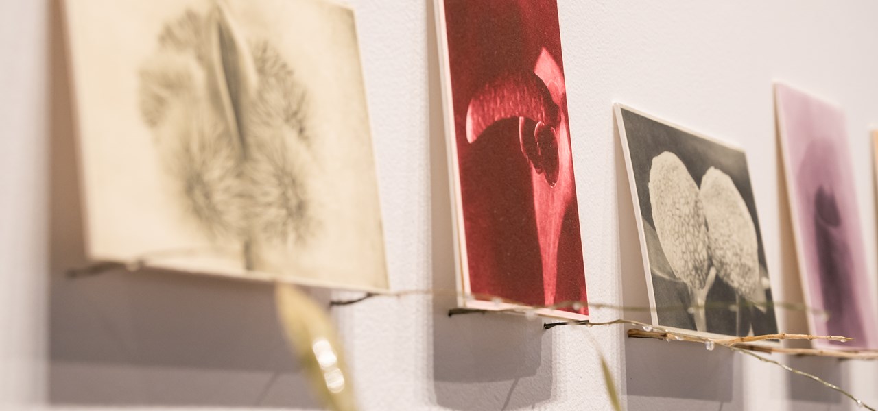Works from the 2026 Midsumma Art Award