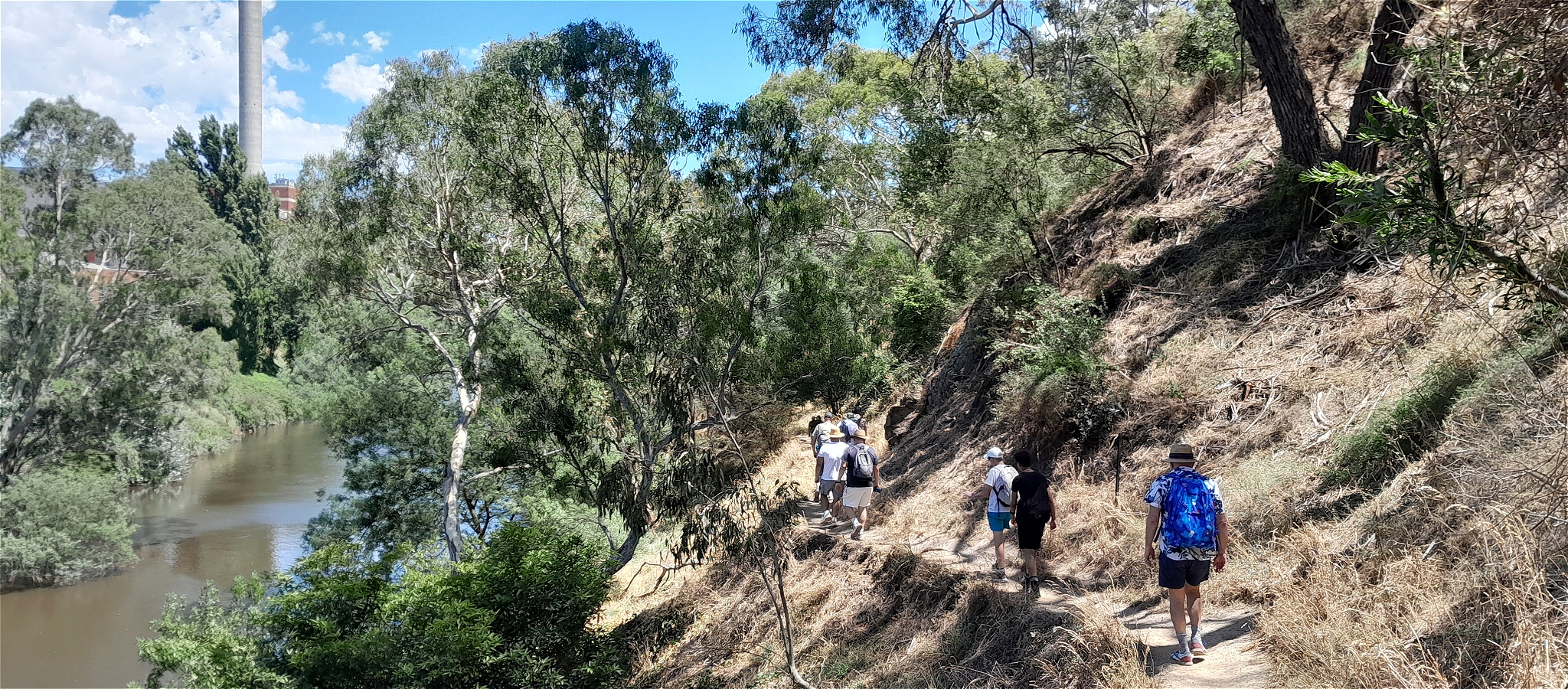 Shady natural tracks running alongside the Yarra River