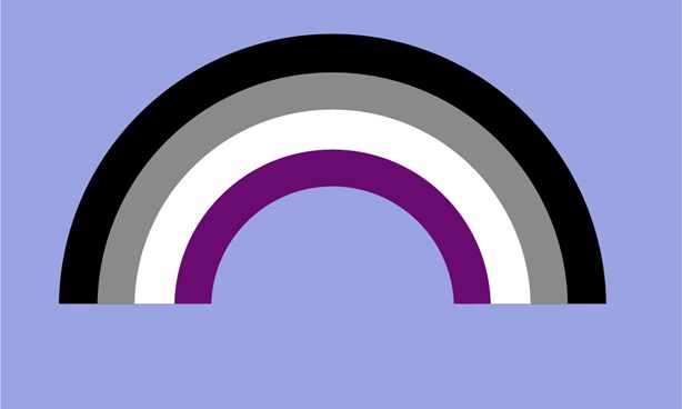 Asexual Pride Flag against a blue-mauve background