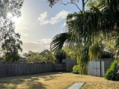 Photo of a backyard with dry grass, green trees, and blue sky