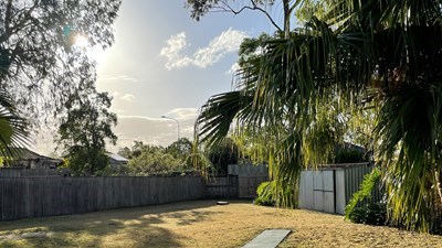 Photo of a backyard with dry grass, green trees, and blue sky