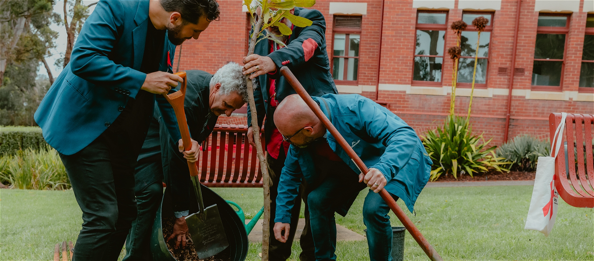 Four men of varying ages work together to plant a tree on an outside lawn. They are holding shovels, placing soil into the hole as they hold the tree.