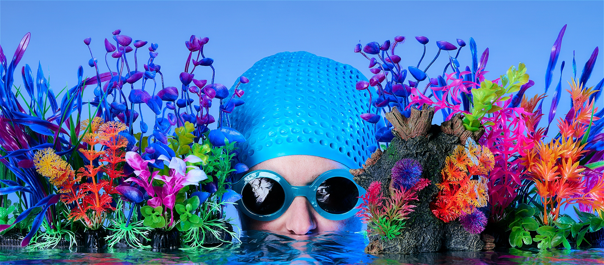 A person wearing a blue swimming cap and blue sunglasses peeks out from behind plastic fish tank plants.
