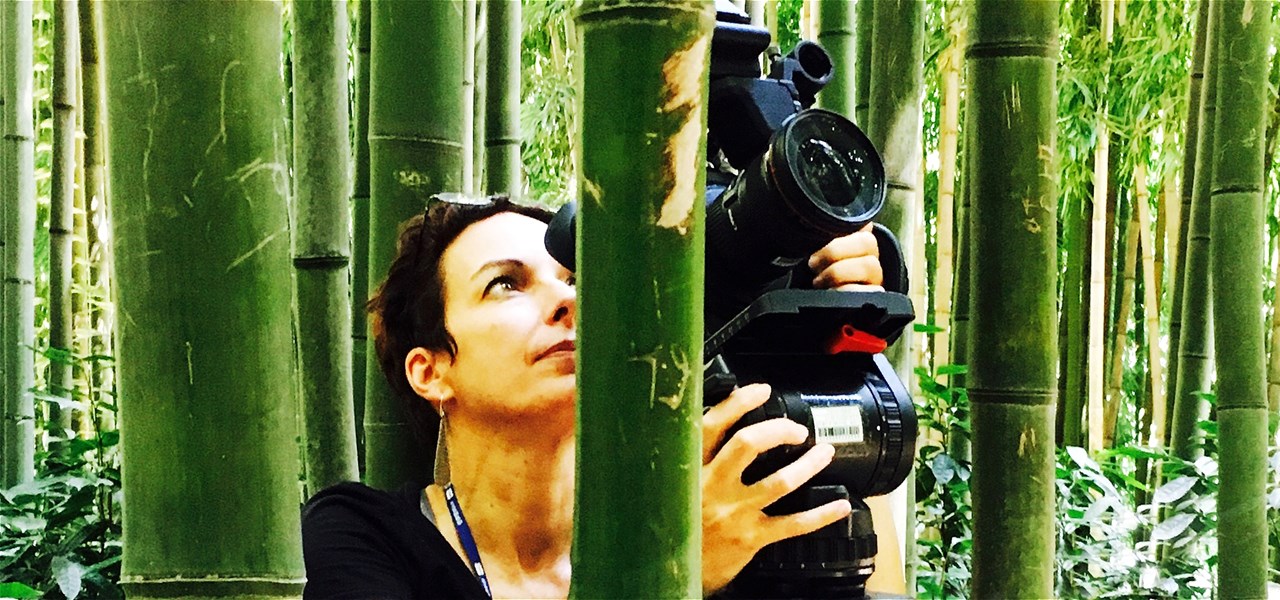 Betty Sargeant filming on location in a South Korean bamboo forest