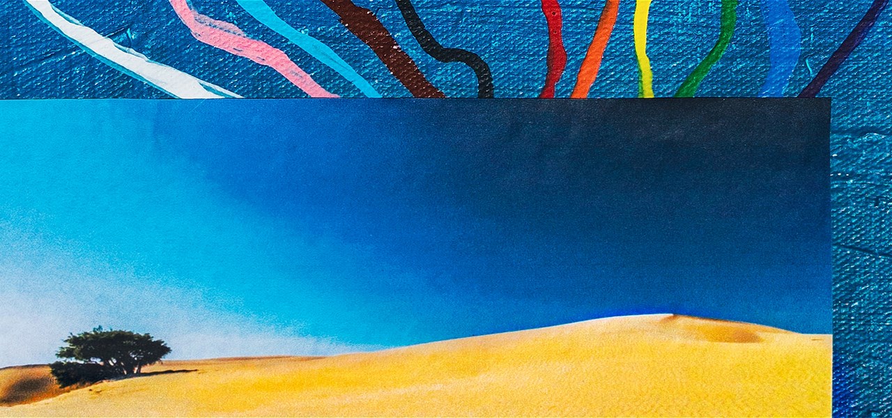 Photograph of a sand dune with one lonely tree on top of a blue painted canvas with progressive pride colours above the photograph.