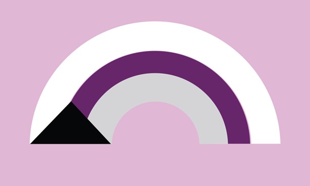 Demisexual Pride Flag against a light purple background